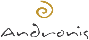 Andronis logo Andronis logo